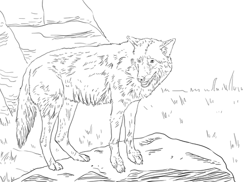 Eastern Wolf Coloring Page